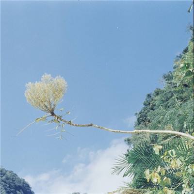 天涯寒刀行手游下载