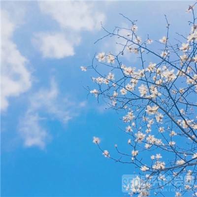 明日地平线最新版